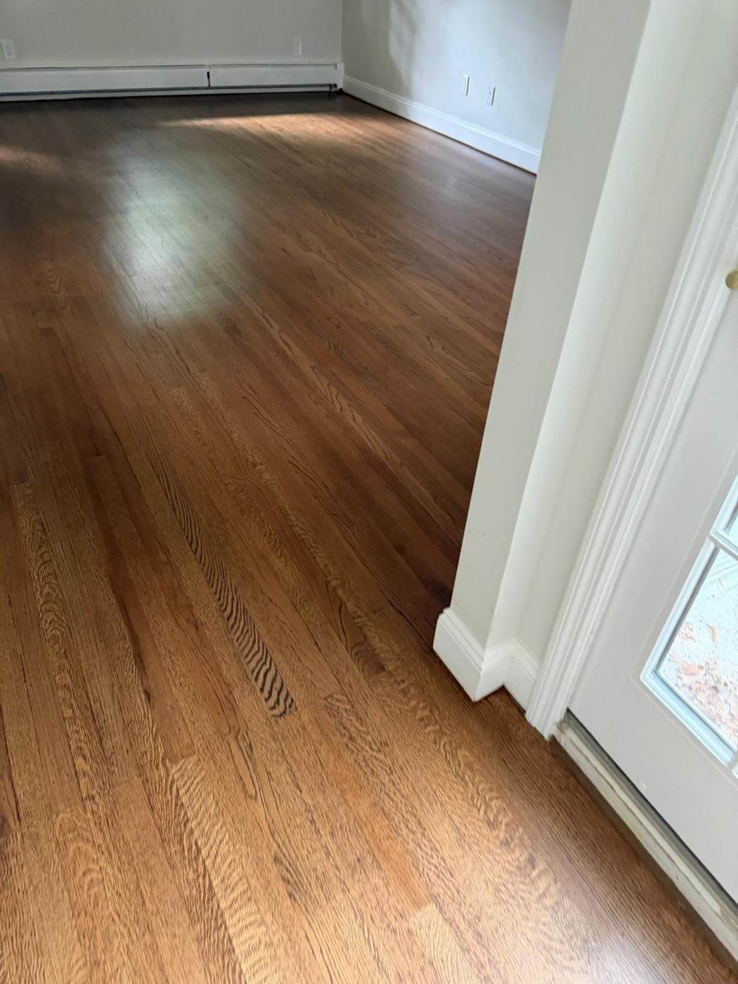 Stained hardwood floor in a sunlit room